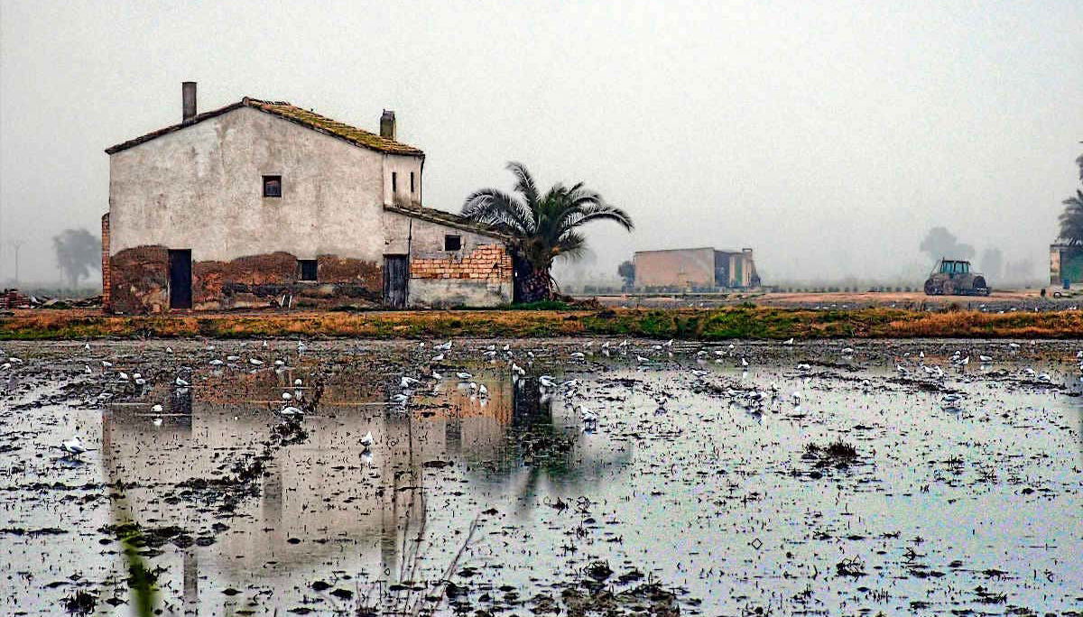 Excursão pelo Delta do Ebro