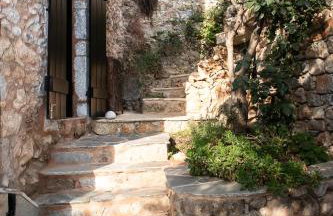 PositiveSpace Olive Tree - Foto 23