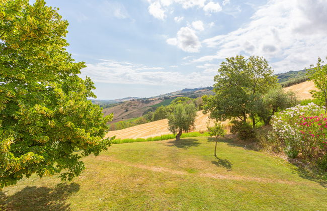 I Due Carpini - Foto 26