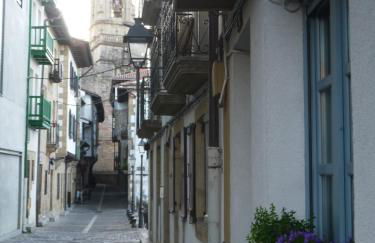 Eguzkilorea - Foto 31