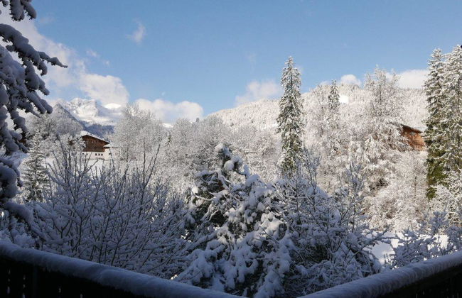 Tree-Tops, Chalet - Foto 16