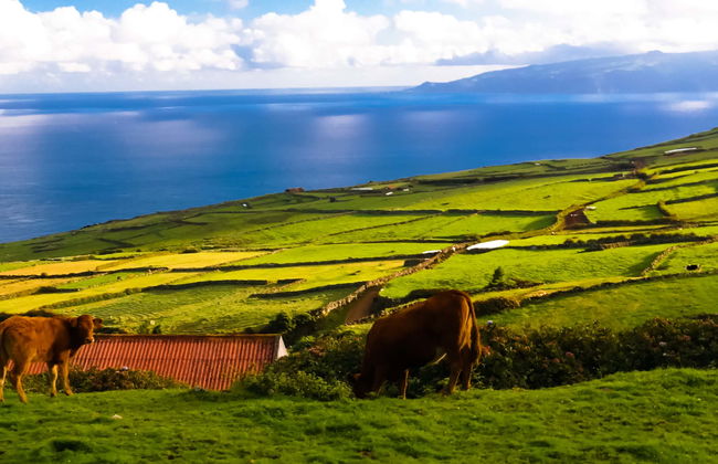 Escursione all'isola di Corvo - Foto 2