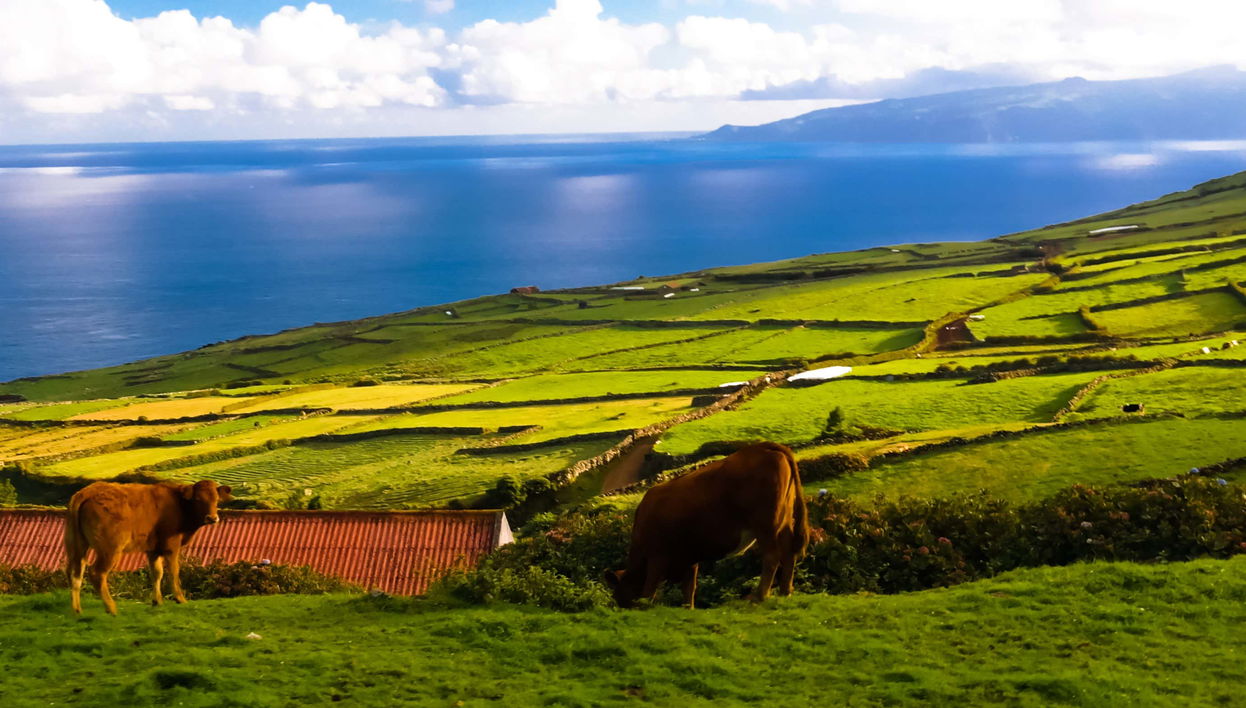 Excursión a la isla de Corvo