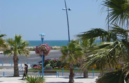 BAMBOU NATURE - Foto 21