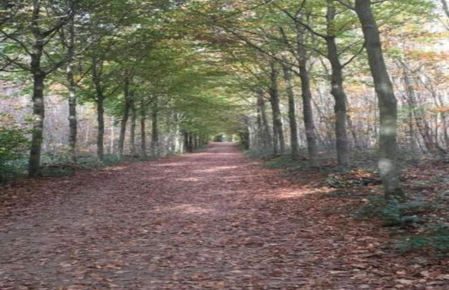 Walk to Pointe du Raz & Beach - Foto 40