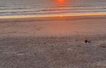 Villa Saint Vivien - Foto 8