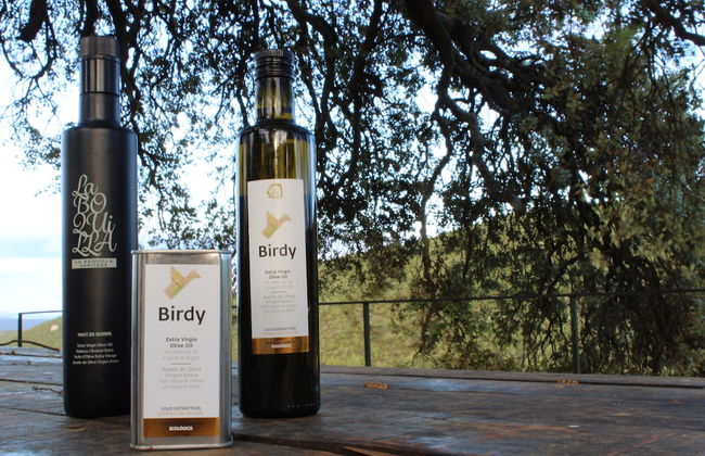 Masia Heredad La Boquilla - Foto 13