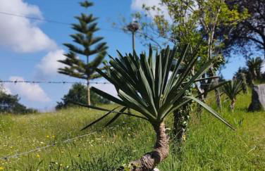 PequeñoCabárceno - Foto 43