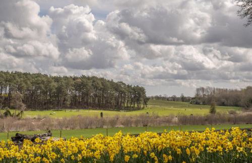 Wild Meadow Barn - Foto 69