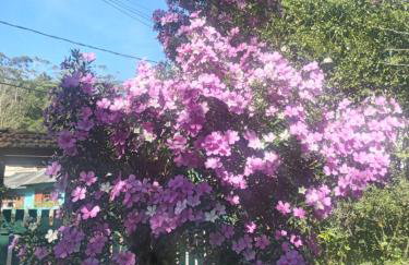 SITIO SIMPLESMENTE DEMAIS - Foto 24