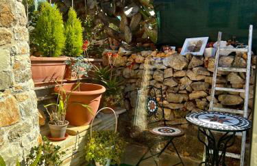 Trulli delle succulente - Foto 53