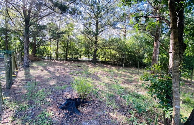 Uhost AI 4BR Retreat Hot Tub Firepit - Foto 27