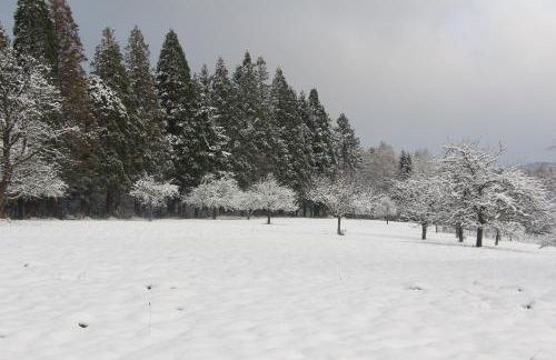 Ferienwohnungen Brack in Gaggenau - Foto 30