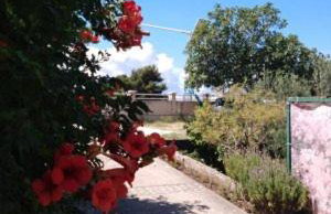 Apartments Medici - Photo 29