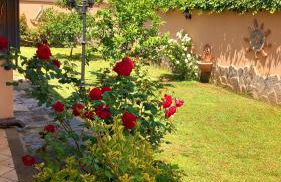 Villa Vittorio - Photo 40