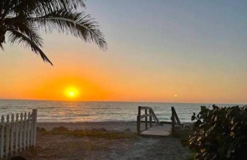 Blue Paradise - Foto 42