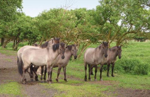 Amazing Home In Stepnica With Kitchen - Foto 31