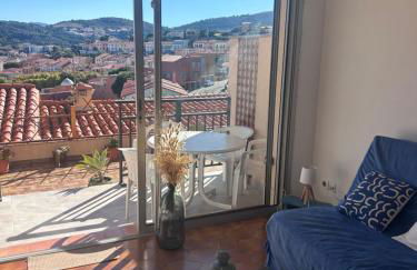 T2 belle terrasse avec vue sur mer - Foto 15