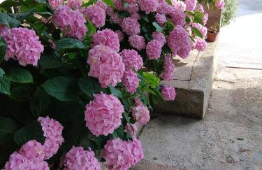 Apartment Nedjeljka - Photo 22