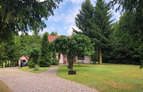 Sielanka Kretowiny - Foto 2