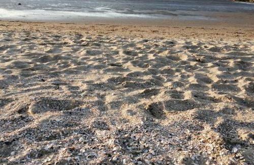 Steffis-Strand-Schule - Foto 35