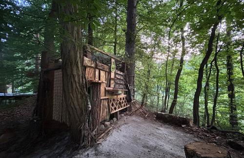 WaldFloß am Silbersee - Nature Pure Life! - Foto 15