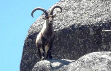 Casa da Eira - Foto 57