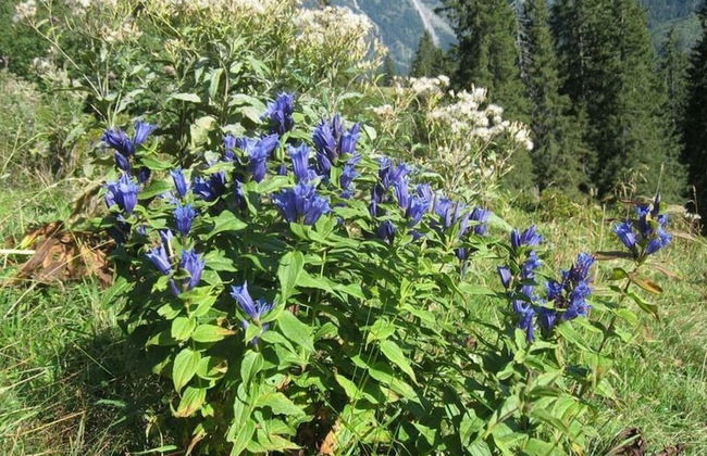 1 Porzig Modern Retreat - Photo 16