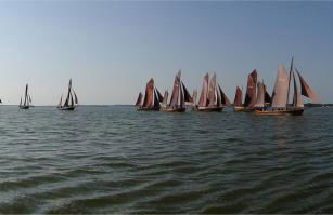 Darssblick - Foto 14