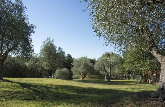 Casale degli Ulivi - Photo 41