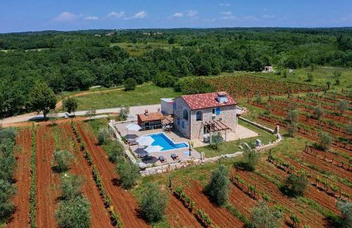 Relax house surrounded by olives and vineyard - Photo 2