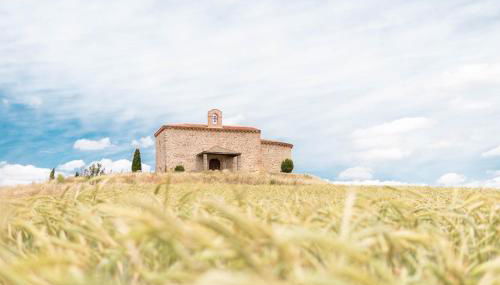 LA CASA DEL BUHO - Foto 2