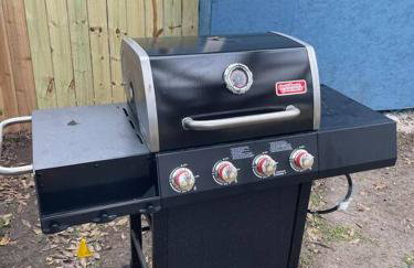 Cacti - Cactyou - Cactus - Foto 18