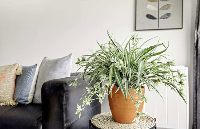 Gorgeous Mile End Flat - Foto 19