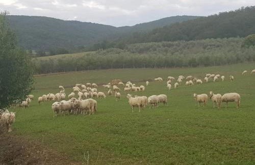 Agriturismo Paugnano - Foto 10