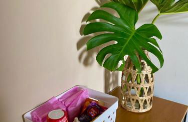 Apartamento dos sonhos Centro Capitolio - Foto 7