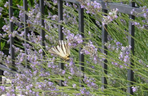 Residence Ai Campi Da Golf Saturnia - Foto 57