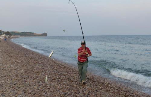 Courtbrook Farm Apartments - Foto 28