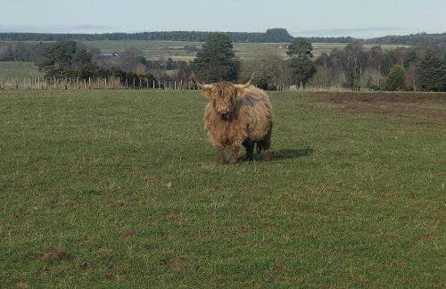 Hillhaven Lodge - Foto 35