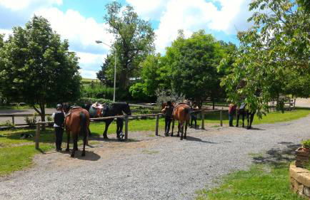 Agriturismo San Filippo - Foto 14