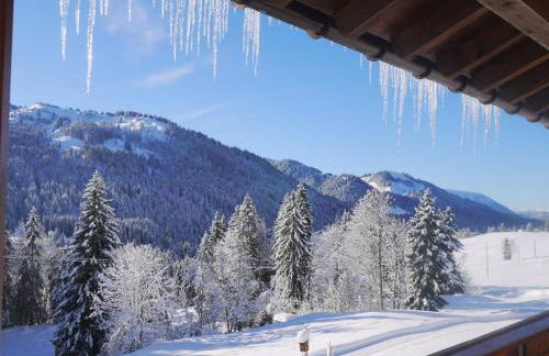 Alte Schmiede - Photo 13