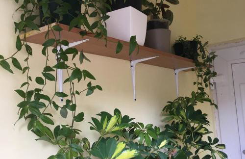 Becontreelodge - Foto 29