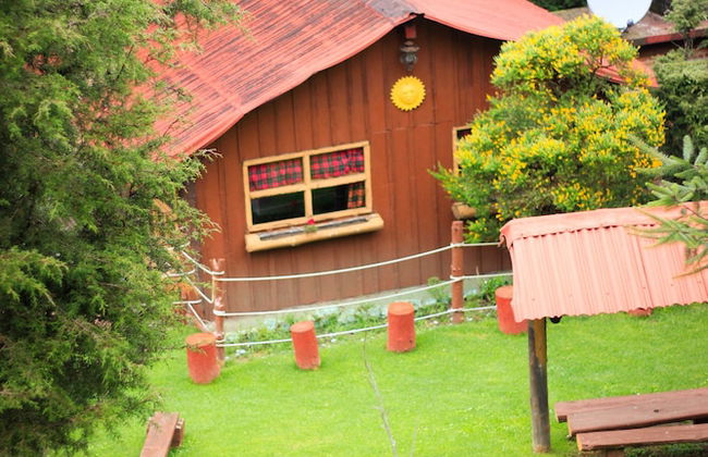 Los Vagones Cabañas Restaurante Bar - Photo 4