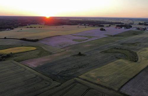 Włókna Inn Classic - Foto 7