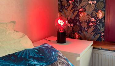 Gîte Mac Arthur - Foto 4