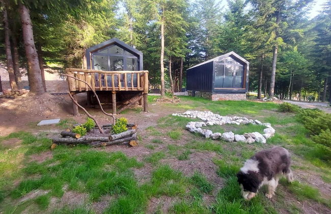 Tumba Sisli Vadi - Foto 59