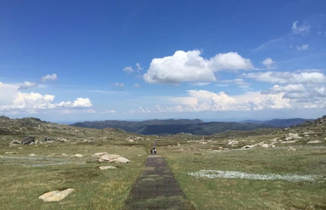 Three Bears 2 - Photo 12