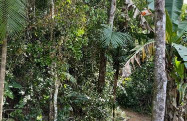 Morada do pôr do sol - Foto 43