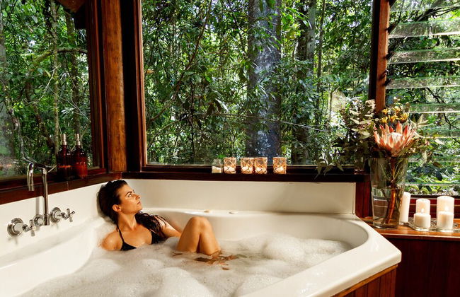 The Canopy Rainforest Treehouses and Wildlife Sanctuary - Foto 8