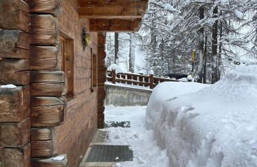 Chalet Champagne - Foto 2
